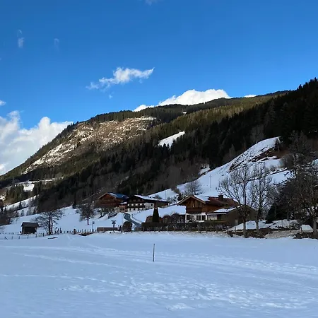 Murmeltier-stube