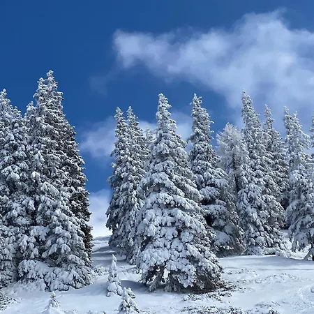 Apartment Murmeltier-stube