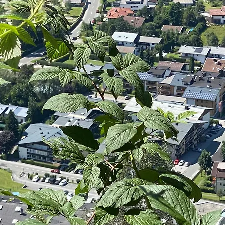 Murmeltier-stube Τσελ αμ Ζέε