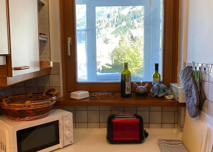 Murmeltier-stube Целль-ам-Зеє