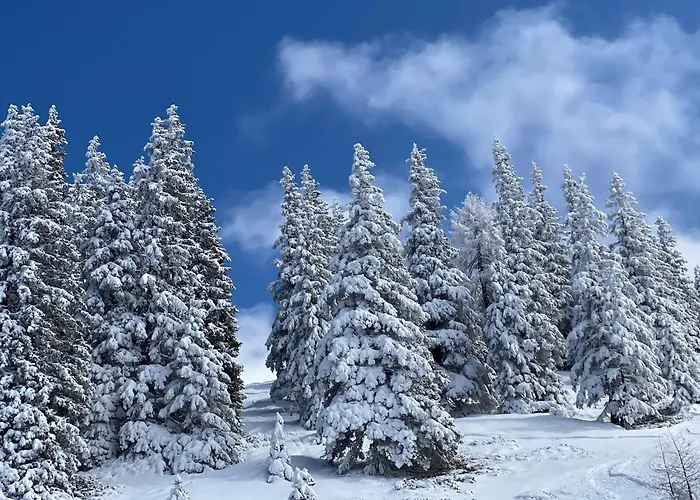 Lejlighed Murmeltier-stube