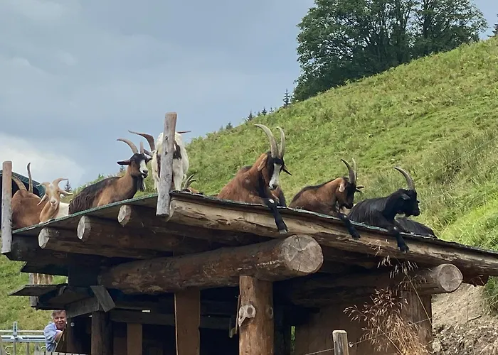 Murmeltier-stube Lejlighed Zell am See