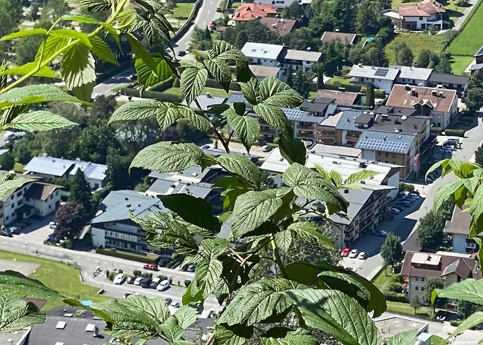 Murmeltier-stube Zell am See