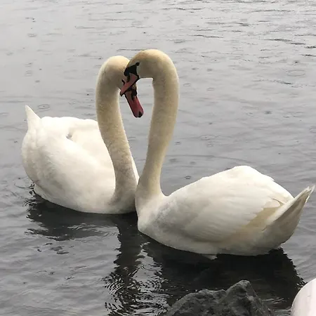 Murmeltier-stube * Zell am See